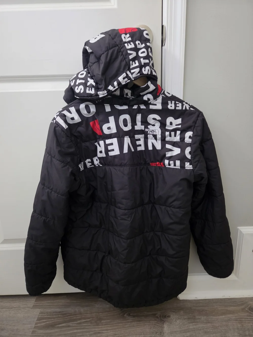 The North Face north face